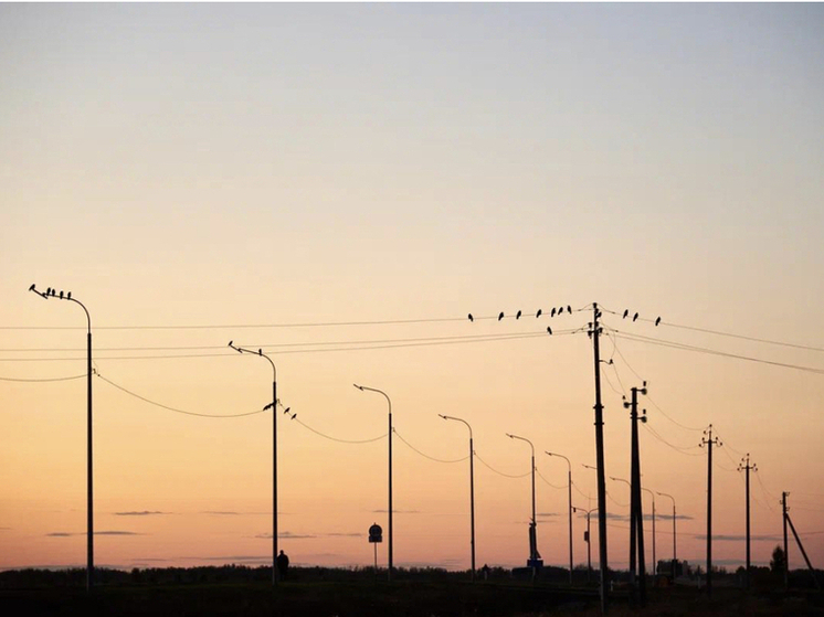 Под Новосибирском строят электроподстанцию для крупнейшего молочного завода региона