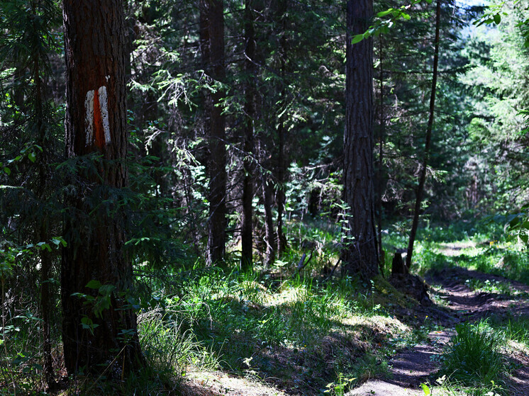 Приметы на Митрофанов день: что нельзя делать 6 декабря 2025 года