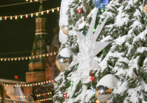 Главный секрет идеального подарка на Новый год не в его цене, а в его «резонансе». Он должен откликнуться в её личной вселенной — напомнить о чём-то важном, поддержать мечту или создать новую магическую традицию. Забудьте на время о стандартных наборах. Давайте построим подарок, как волшебство, — с пониманием и вниманием.