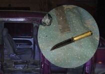 Процесс над жителем Львова, на днях убившим сотрудника ТЦК, который пытался его задержать, неожиданно вызвал огромный резонанс