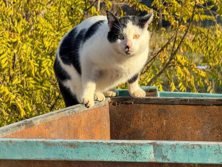 Прокуратура потребовала оборудовать мусорные площадки в Избербаше