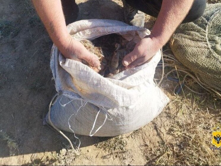 В Херсонской области будут судить четырех браконьеров