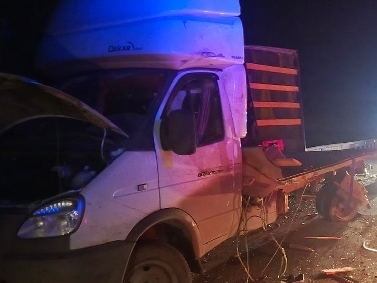 Водитель «Газели» пострадал после столкновения с грузовиком в Самарской области