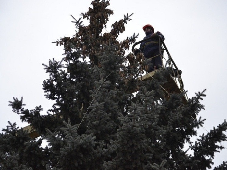 В центре Иванова установлена еще одна новогодняя ель