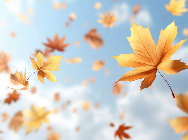 8 градусов тепла прогнозируют в Херсонской области в субботу