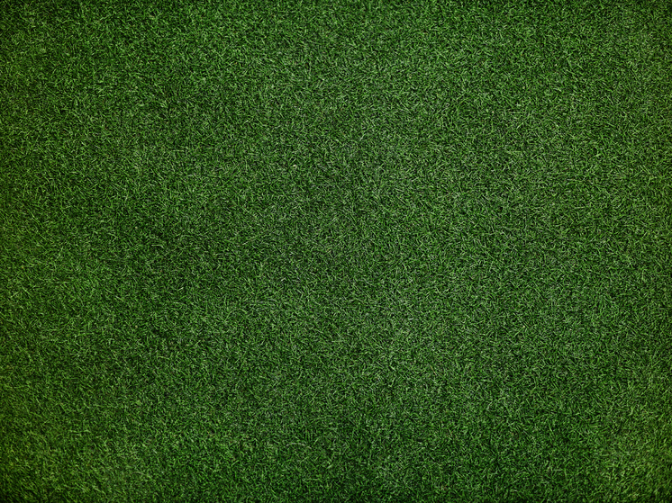 Главный тренер «ПСЖ» Энрике отказался отвечать на вопрос о вратаре Сафонове