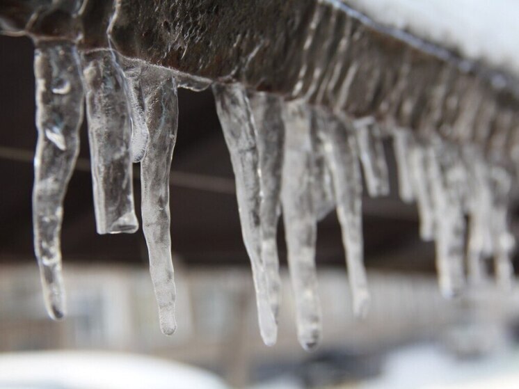 В Ленобласти 6 декабря ожидается мокрый снег и до +4 градусов