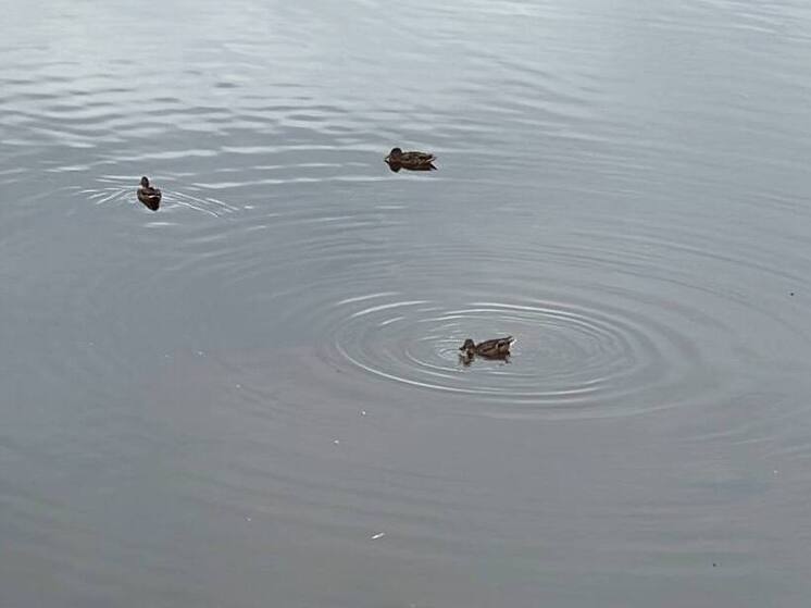 Суд в Туле признал обнаруженные сети бесхозяйным имуществом