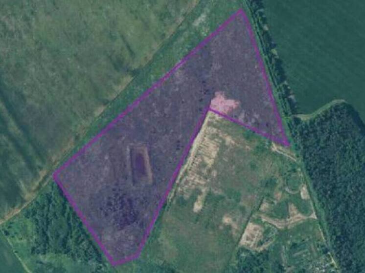 В Волосовском районе хотят построить завод по переработке овощей