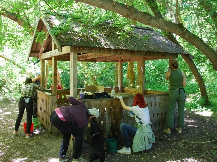 В Волгоградской области расширяется волонтерское экодвижение