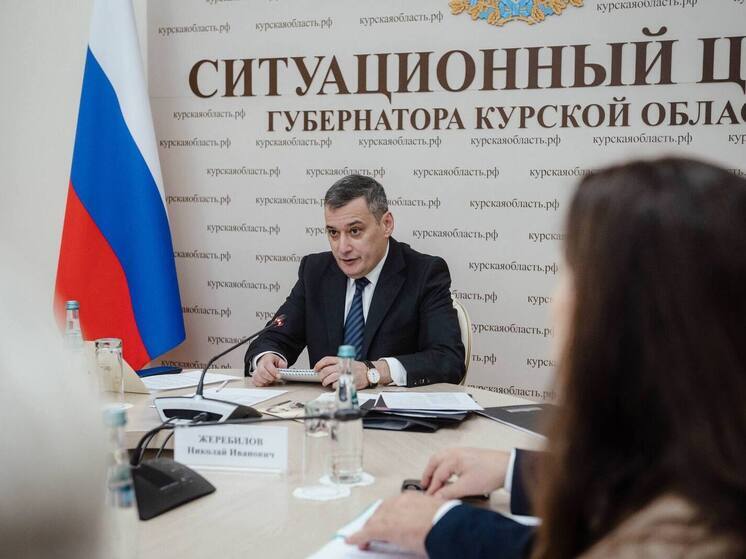 Корпорацию развития Курской области сравнили с персонажем сказки «Кот в сапогах»