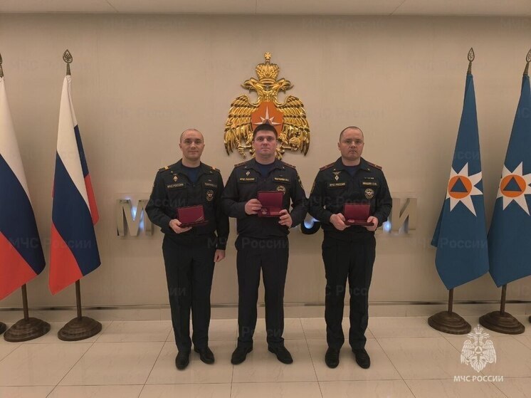 Троих орловских пожарных наградили госмедалями