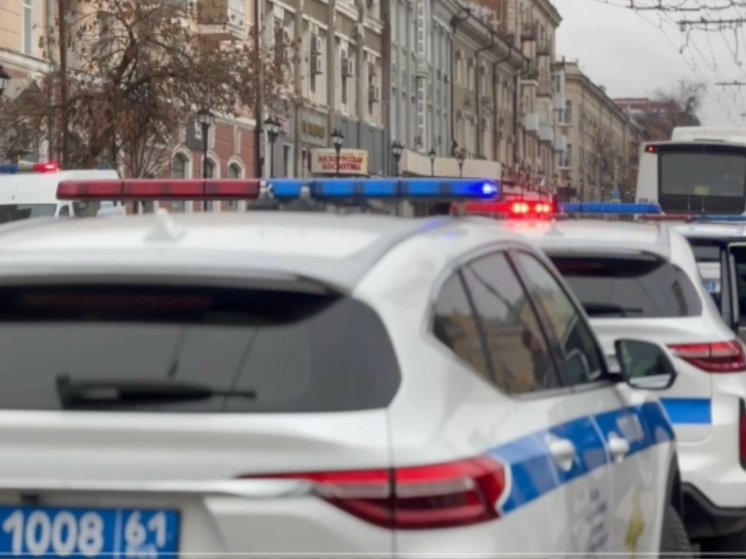 В Ростовской области вырастет количество экипажей ДПС на выходных