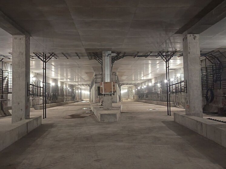 В самарском метро планируют отказаться от жетонов к концу 2026 года