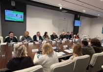 5 декабря состоялся круглый стол на тему «Против вандализма», организованный общественной организацией «Регион для жизни» совместно с Общественной палатой Рязанской области