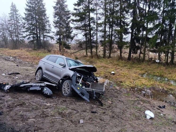 Четыре человека оказались в больнице после ДТП под Великим Новгородом