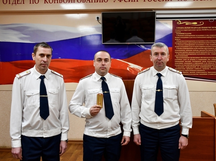Тыл ведомства: работники службы инженерно-технического обеспечения, связи и вооружения УИС удостоились наград в псковском УФСИН