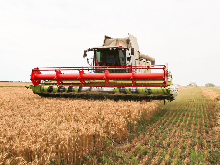 Уборочная кампания в Чувашии стала рекордной по урожайности и валовому сбору