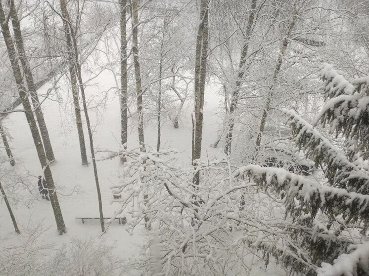 Жители Хакасии услышат звон декабрьской метели