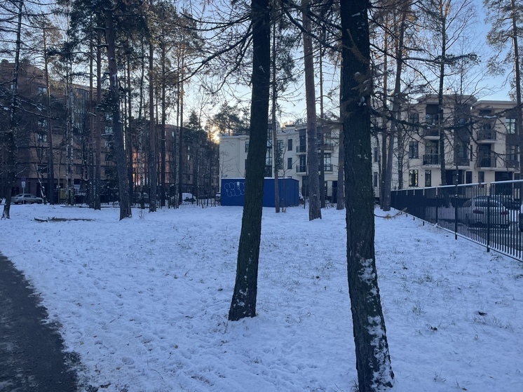 Пенсионеры-педагоги смогут получить компенсацию за жилье при переезде в Ленобласть