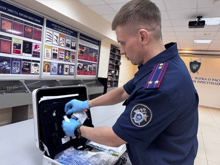 В Собинском районе произошла серьезная семейная драма с убийством