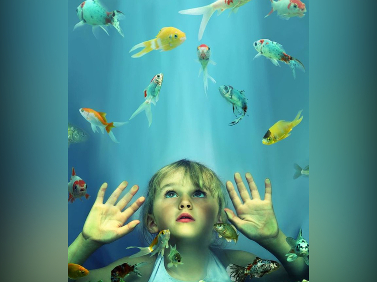 Инкубаторы для рыб и садики для детей, хорошеющая благодаря карельскому камню столица и мечтающие о странном жители Карелии в обзоре новостей за пятницу