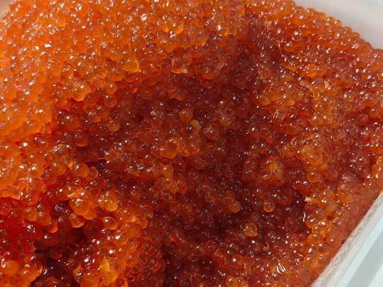 В Хакасию на самолете доставили больше центнера красной икры