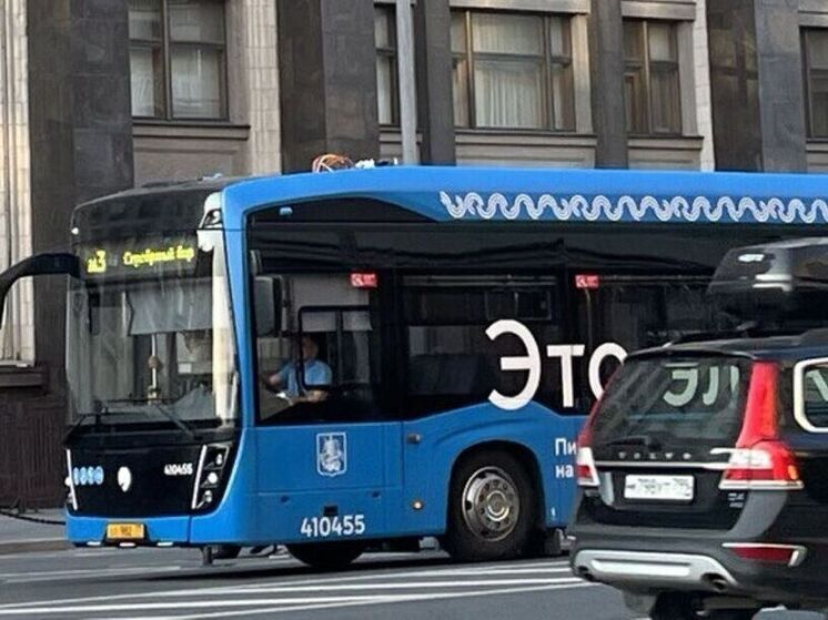 Пока в Самарской области губернатор Вячеслав Федорищев ставит жесткие сроки по оснащению всего общественного транспорта валидаторами для безналичной оплаты, в соседнем Оренбуржье ситуация выглядит иначе