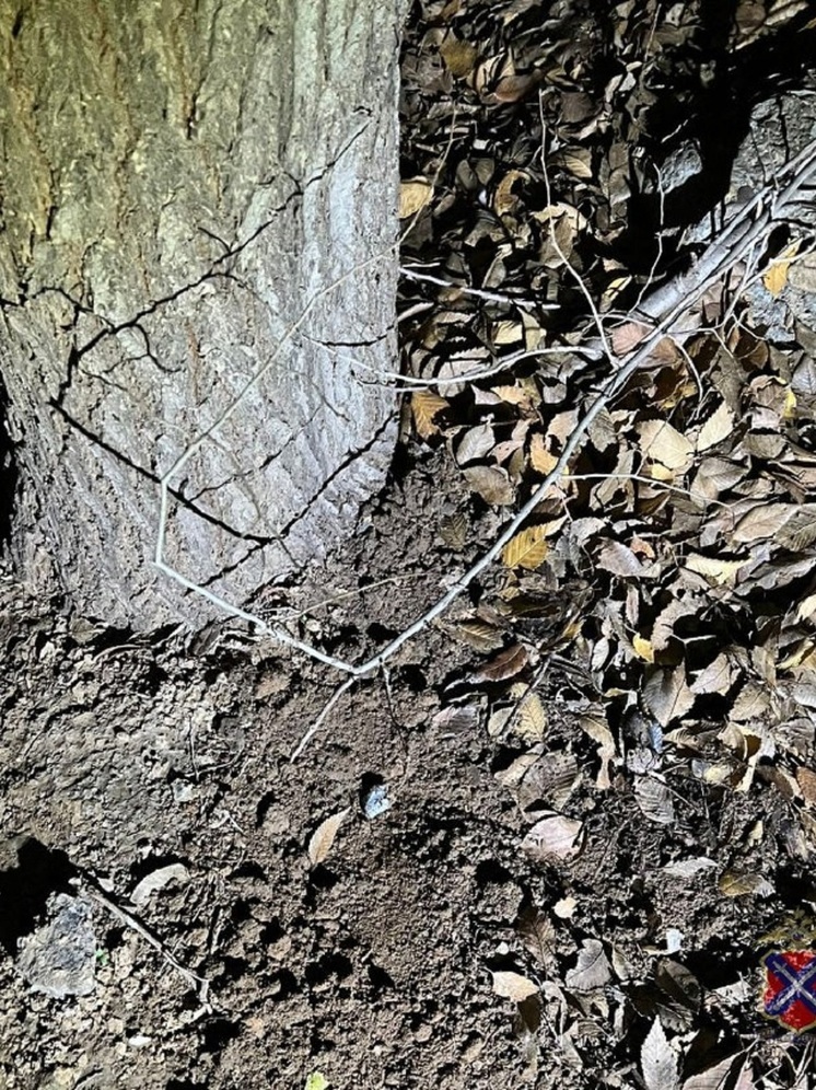 Полицейские задержали 37-летнего волгоградца с 4 граммами наркотика