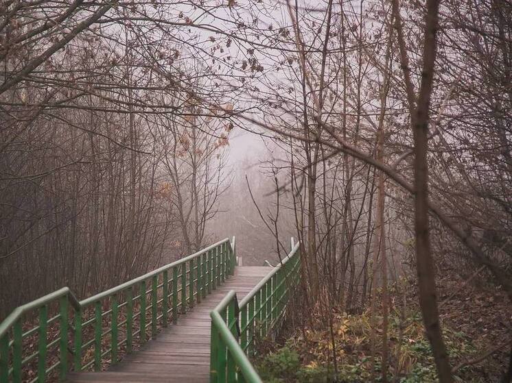 Пасмурную погоду и до +2°C прогнозируют в Нижнем 6 декабря