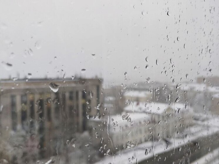 В Карелии 6 декабря ожидается дождь с мокрым снегом
