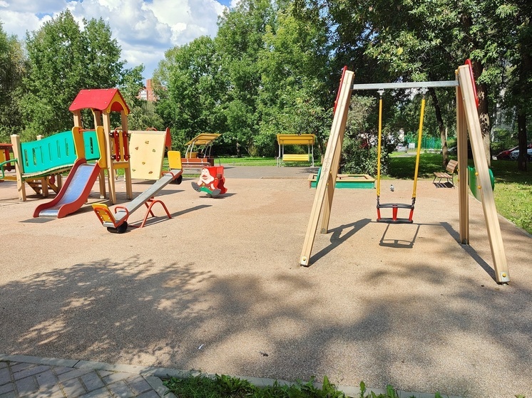 Саяногорских родителей призвали бороться за чистые детские площадки коллективно