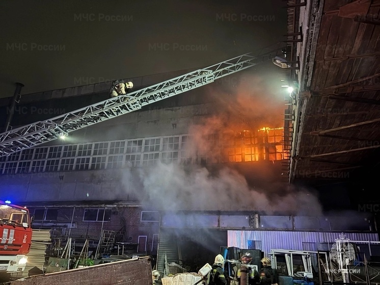 Серьезный пожар тушат в производственном здании Владимира