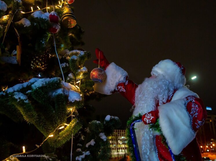 Родителям Карелии рассказали, как выбрать безопасный новогодний костюм для ребенка