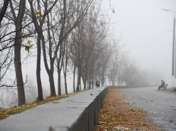  В Астраханской области 6 декабря днем потеплеет до +8 градусов