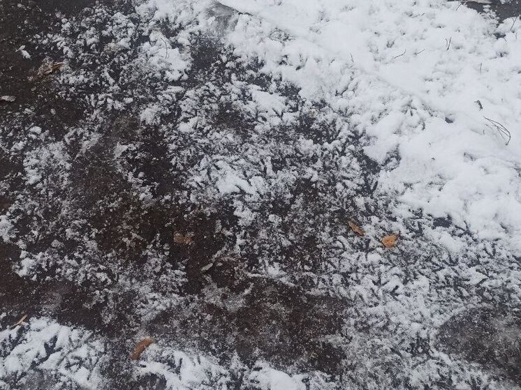 Костромичей целую неделю будет мочить декабрьский дождь