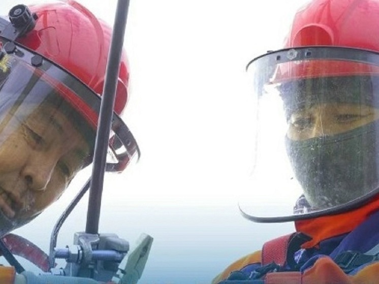 В Целинном районе Калмыкии провели работы по ремонту и обслуживанию сетей электроснабжения