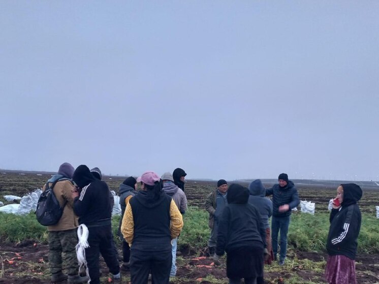 В Волгоградской области выявили 14 мигрантов-нарушителей