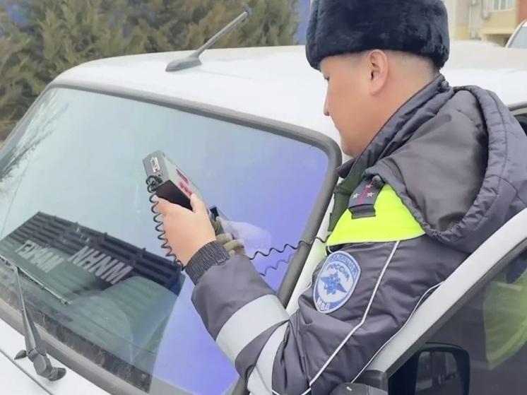 В Калмыкии подвели итоги акции по борьбе с тонировкой