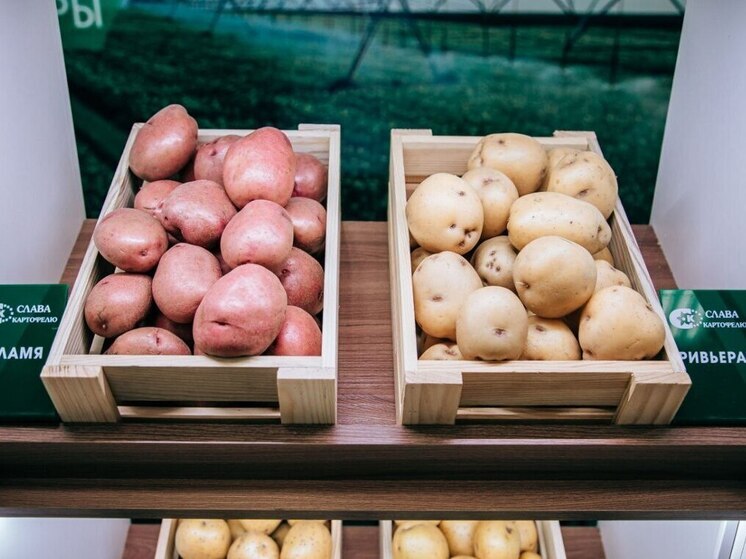 XVIII межрегиональная выставка картофеля пройдет в марте 2026 года