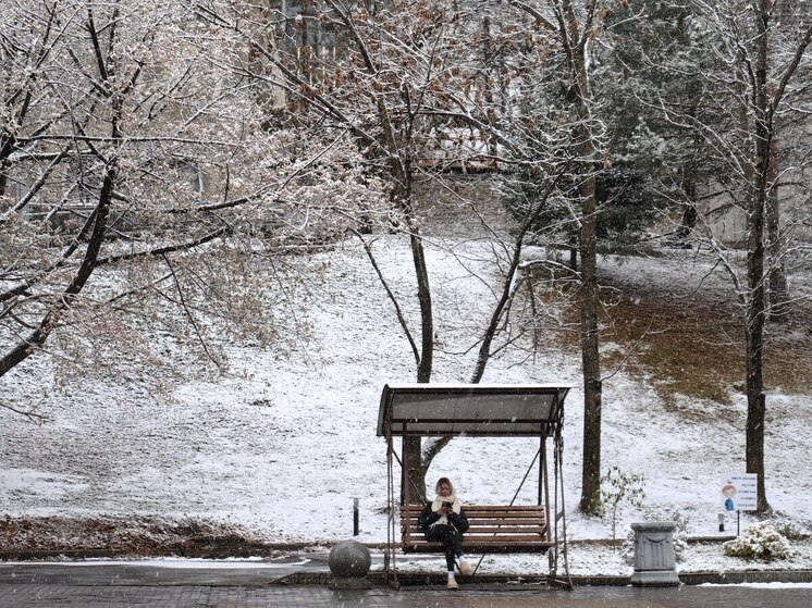 В Хабаровске 6 декабря несущественные осадки, до -8 градусов