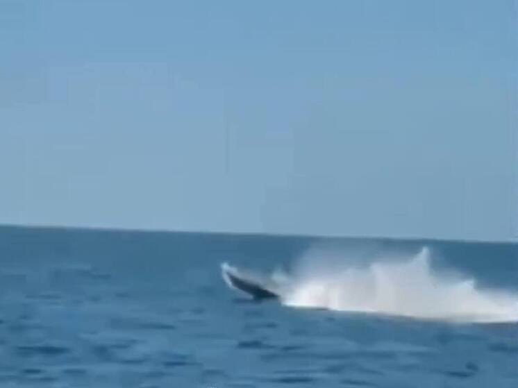 Болгария проводит операцию по спасению атакованного дронами ВСУ танкера Kairos