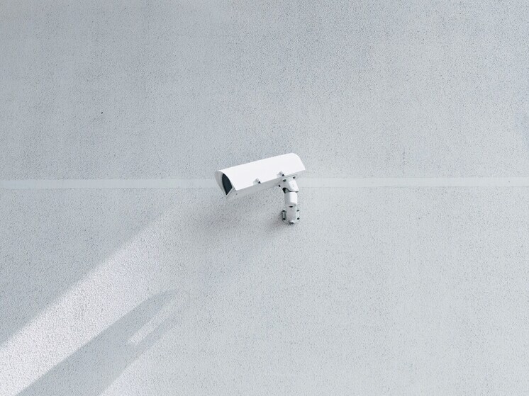 Полиция Липецка установила причастных к повреждению камеры наблюдения