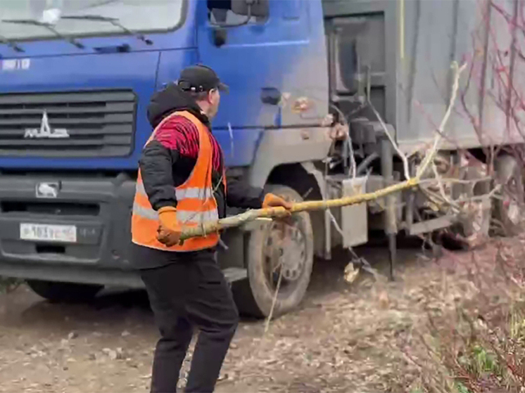 В Людинове прочищают забитый коллектор на улице Лясоцкого