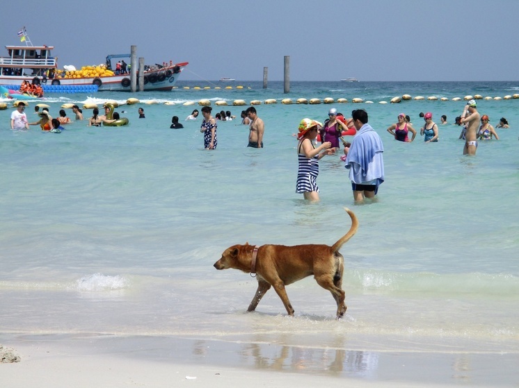 Свердловчанку с дочерью ищут в Таиланде