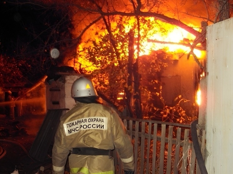 Пожар в Лискинском районе полностью уничтожил хозпостройку