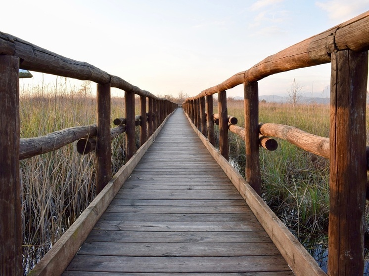 Бастрыкин взял под контроль расследование по разрушенному мосту в хуторе Бехтеевка