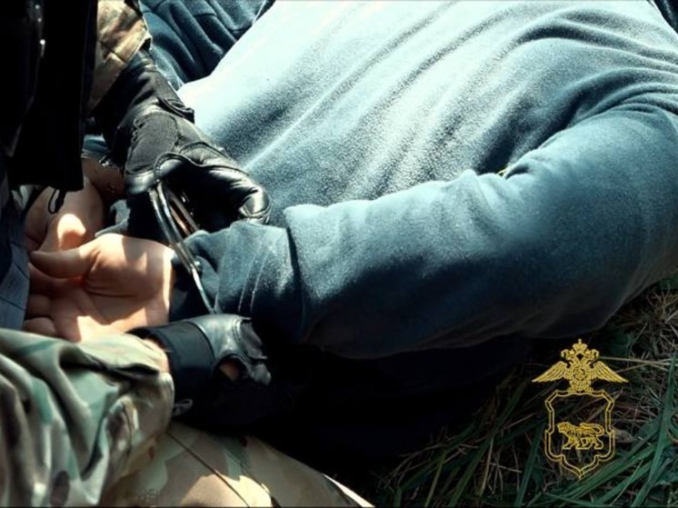 Около 2,5 тысяч наркопреступлений пресекли приморские полицейские за 2025 год