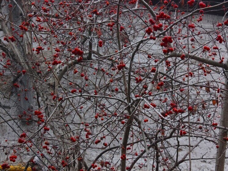 Синоптик перечислил регионы, где ожидаются «впечатляющие» морозы