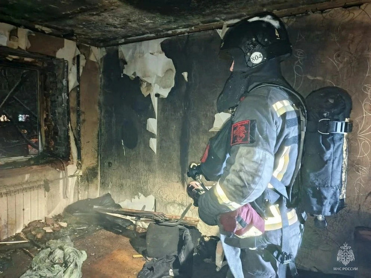 Замкнуло телевизор: в Барнауле более 20 человек эвакуировались из горящей пятиэтажки